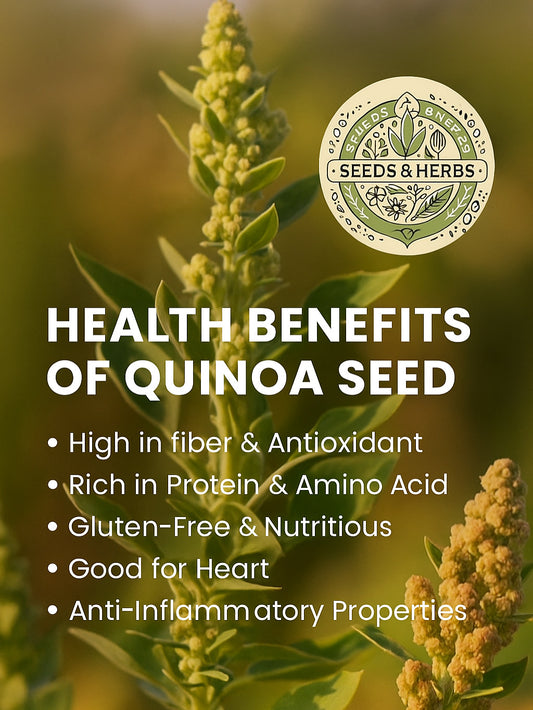 Quinoa