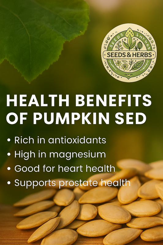 Pumpkin Seed