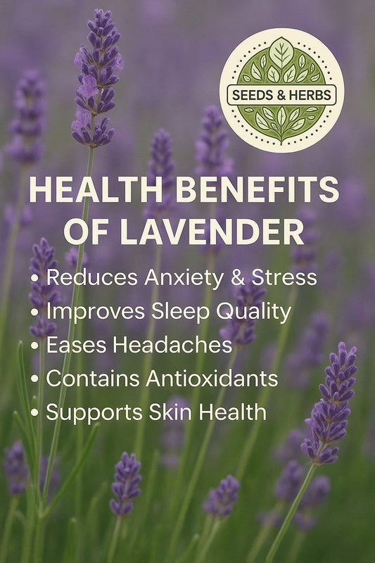 Lavender