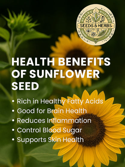 Sunflower Seeds