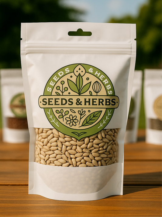 Sunflower Kernals