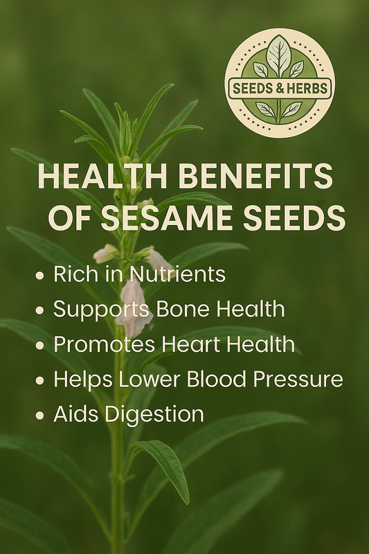 Sesame Seed